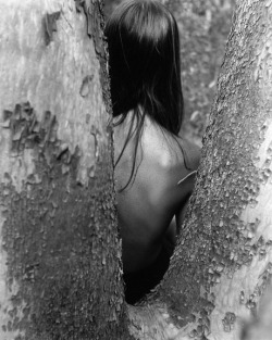 theconstantbuzz:  © Imogen Cunningham 