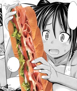 2hushit:  uwaa~! look at the size of that Subway Sandwich! 
