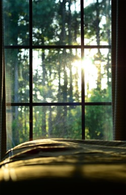 bohemianhomes:  Bohemian Homes: Window view 