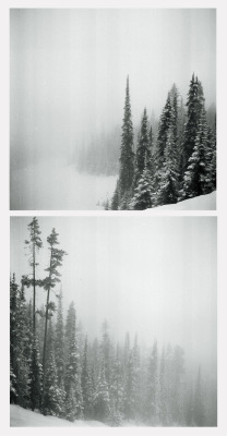 man-and-camera:  Frozen lands ➸ Luke Gram 