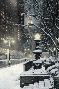 landscapelifescape:  New York City Lights Winter Scenes by Rod