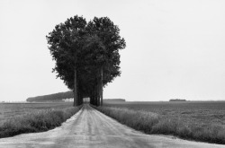 wasbella102:  Cartier-Bresson, Brie, France, 1968 