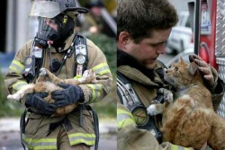 michaelhoffman101:  10 photos that will boost your faith in humanity