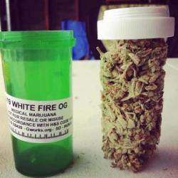 thatsgoodweed:  Thats how you know its that stick-icky