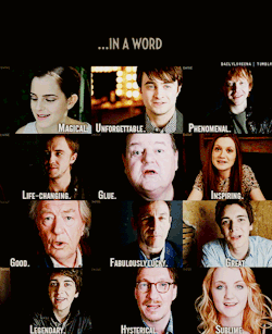 Your Harry Potter experience… In a word