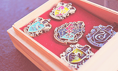 mydraco:  We Love Harry Potter - Long Live the Houses 