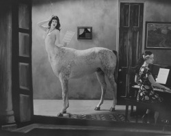 musicbabes:  Joel-Peter Witkin - Night in a Small Town 