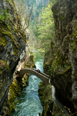 allthingseurope:  Gorges de l’Areuse, Switzerland ( by sevenbrane)