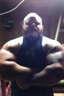 superbears:  VERY CUTE BULL WANT