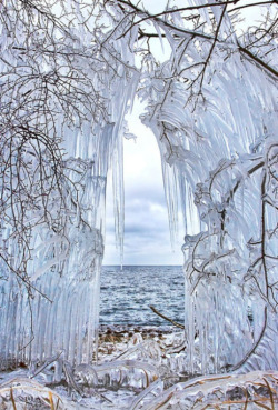 moondancehooper:  Icy curtain  I’m not generally a winter person