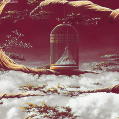  Asuna, in Alfheim Online~     :c