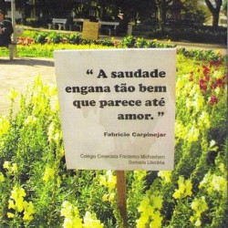 Quem ama sempre entende..