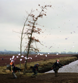 likeafieldmouse:  Jeff Wall’s 1993 photographic recreation