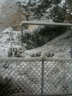 Wake up, see this and a hysteric cat who thinks it only snowed