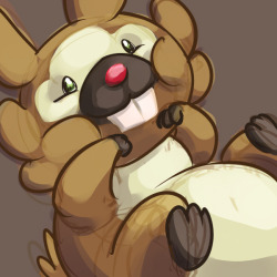 puddlesofcuddles:  BIDOOF. CUS YOLO.    y'know, I actually really