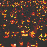 mallette-blog:  Halloween lights  So pissed the weather has foiled