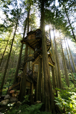 redjeep:  tree house’s… because I’m a big kid at heart.