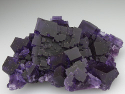 sushinfood:    Fluorite  it’s like a chunk of the night sky