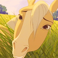 ceedawkes:  top ten non-disney animated movies;spirit stallion