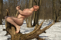 rhydonmyhardon:  assgod:  such a majestic gay in its natural