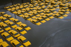 dvorets:  A parking lot full of yellow cabs sits flooded as a