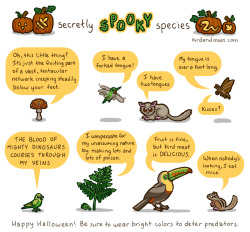 birdandmoon:  Some animals and plants are secretly very alarming. The