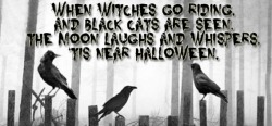 All Hallow’s Eve is upon us … have a safe and fun evening,