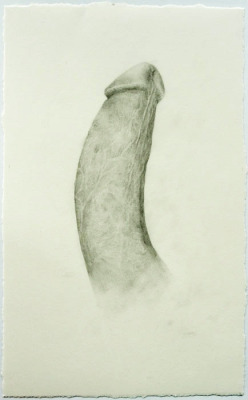 aurel schmidt / penis