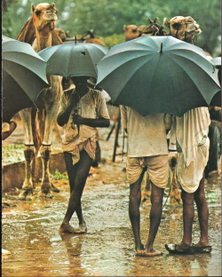 8  endilletante: Geo n°11, janvier 1980. Rajasthan, désert