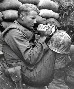 sinuses:  A WWII Solider feeding a rescued kitten. 
