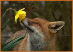 Stop and smell the flowers &hellip;  :)