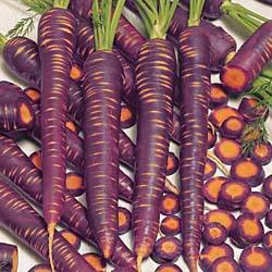 Purple Haze carrots … yep, they’re real … grown from heritage seeds!