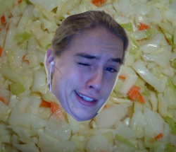 lvysaur:  cole slaw 