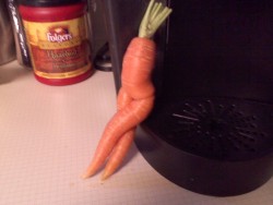 the-absolute-funniest-posts:  MY MOM BROUGHT THIS FUCKIGN CARROT