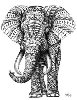 artmonia:  Ornate Elephant | BioWorkZ.
