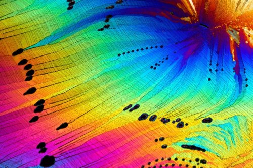 Photomicrographic image of a caffeine crystal, by Stefan Eberhard … No wonder coffee makes me so happy ~ look at all the pretty coooolooooourrrrrs  :) [Click on the image for teleportation to the gallery ~ from Nikon’s Small World photo competition