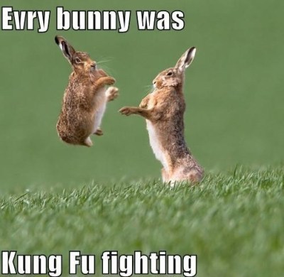 Watch out for his flying rabbit kick  ;)