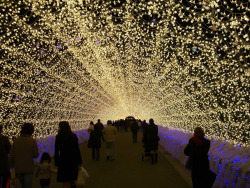 mydarkenedeyes:  Japan’s Spectacular Tunnels of Light. If you happen to be in Japan from now until March 31st, 2013, be sure to check out one of Japan’s most stunning displays of light called Winter Illuminations at Nabana no Sato, a botanical garden