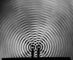 museumuesum: Berenice Abbott Interference Pattern, Cambridge,