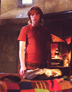 knockturnallley:  Ron Weasley, Harry Potter and the Goblet of