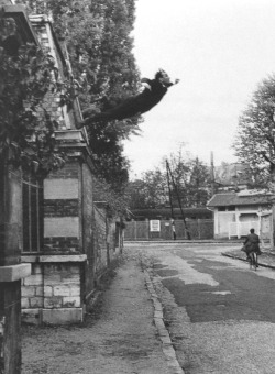 1000scientists:  Leap into the Void, 1960 by Yves Klein 