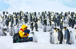 Lost in Antarctica &hellip; wish you were here