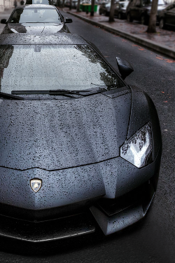  Matte Black Aventador 