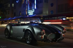 hilgramphoto:  Miami Cobra