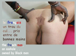 djaam-white:  soumisauxblacks:  In France, more and more respect