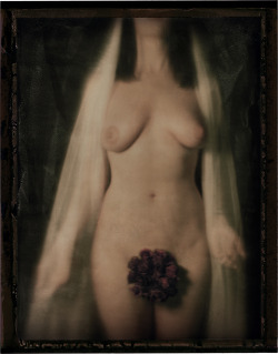 jameswigger:  El Anhelo Eterno de las Rosas Shot on 4x5 with