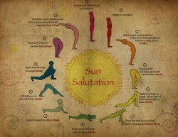 yogibe:  Sun Salutation 