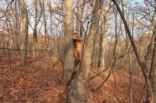 365nude:  Two trees were my company for some time while I relaxed nude in the woods. 