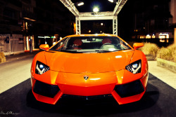 automotivated:  “Knokke out ” - Zoute grand prix 2011 (by