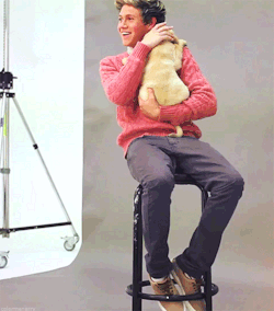 larryniamzaynsextape:  I’ve never wanted to be a puppy so much